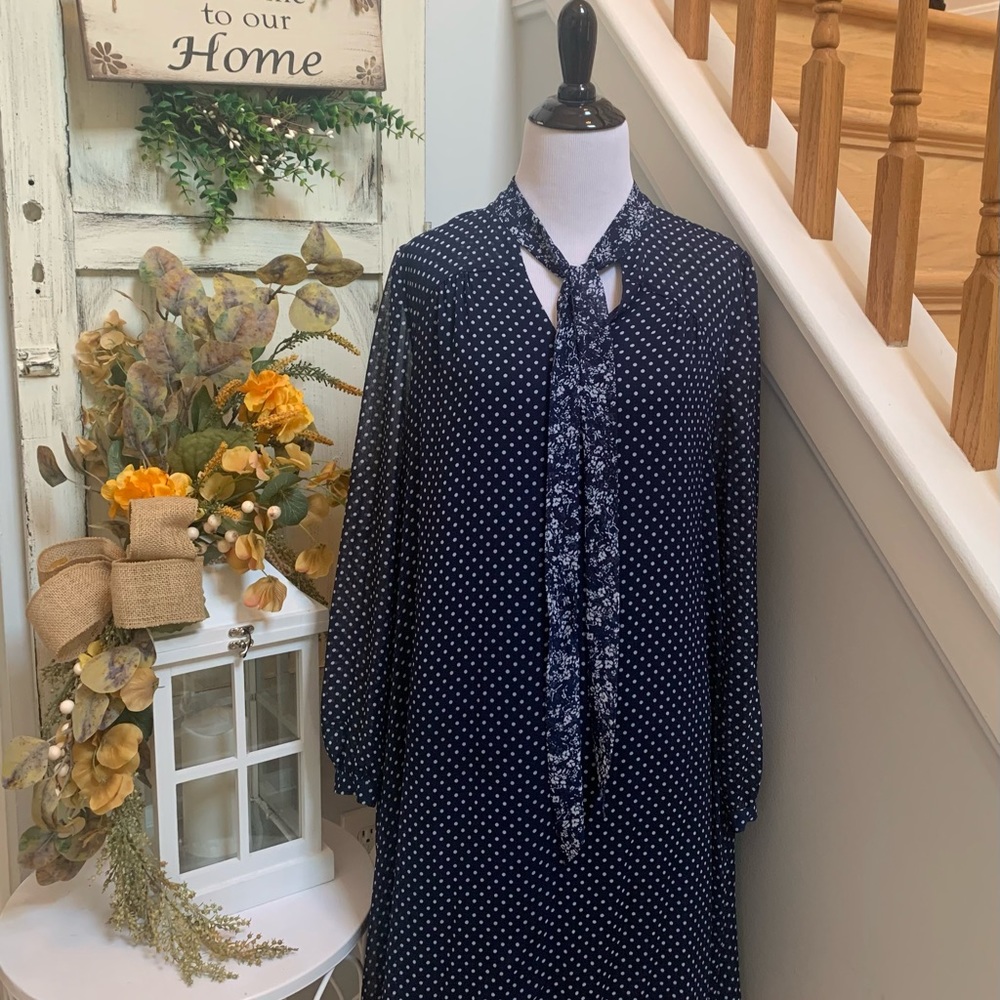 Anthropologie Tylho polka dot blue dress